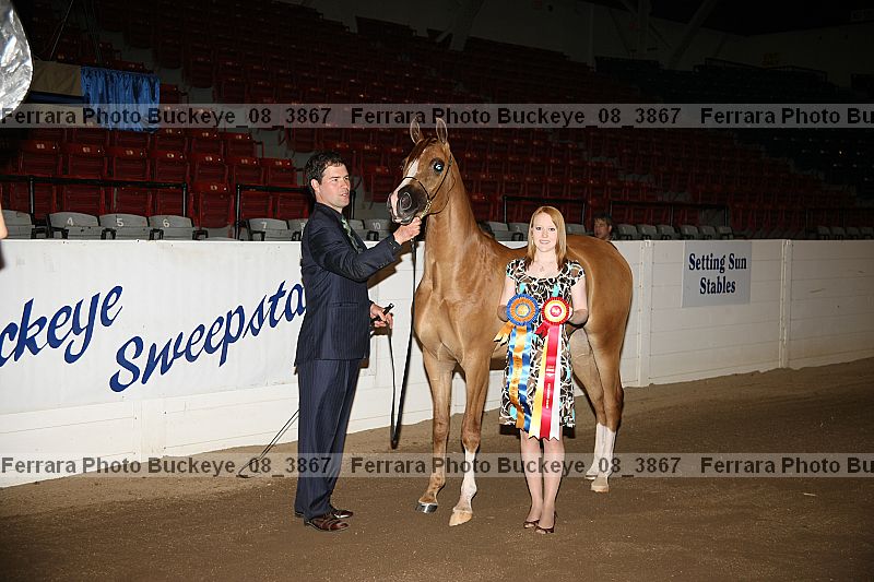 Proof Number buckeye_08_3867
