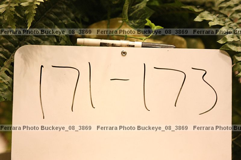 Proof Number buckeye_08_3869