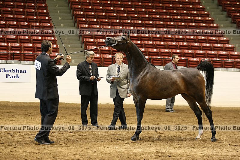 Proof Number buckeye_08_3875