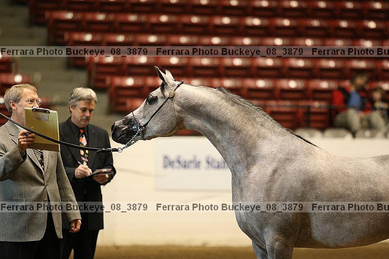 Proof Number buckeye_08_3879