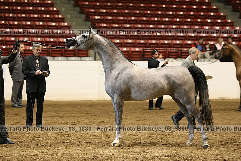 Proof Number buckeye_08_3880