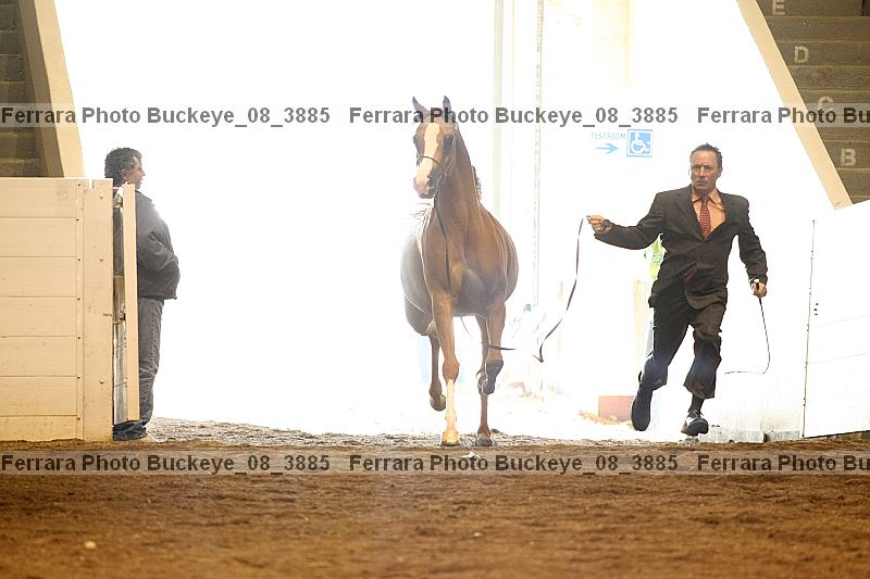 Proof Number buckeye_08_3885