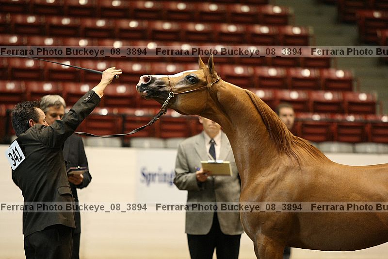 Proof Number buckeye_08_3894
