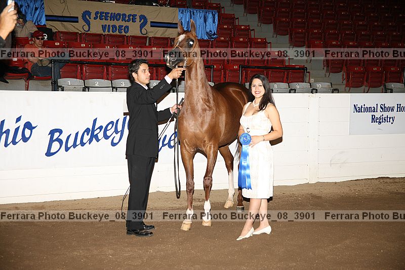 Proof Number buckeye_08_3901