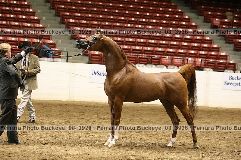 Proof Number buckeye_08_3926