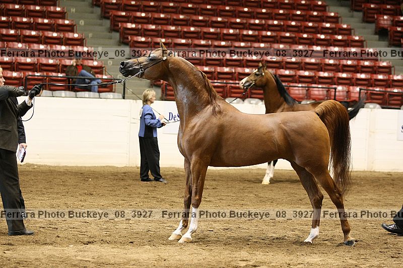 Proof Number buckeye_08_3927
