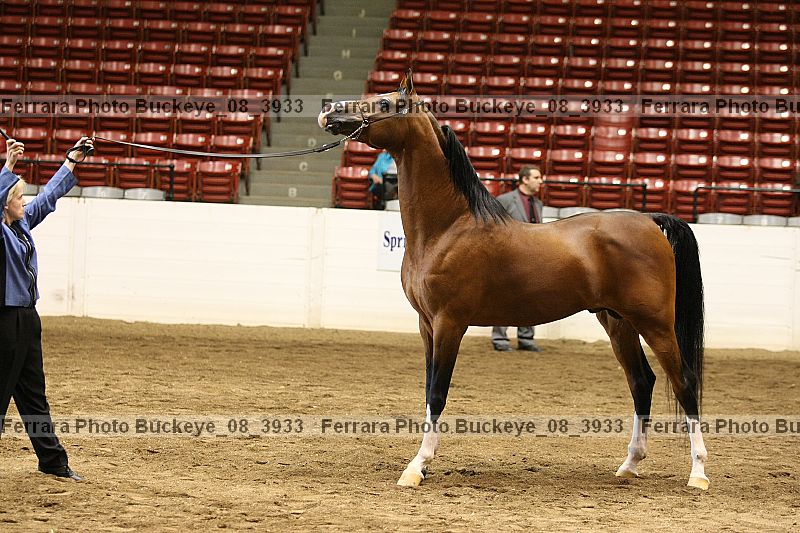 Proof Number buckeye_08_3933