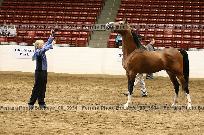 Proof Number buckeye_08_3934