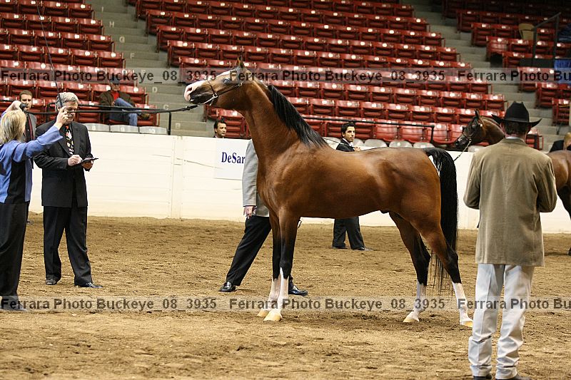 Proof Number buckeye_08_3935