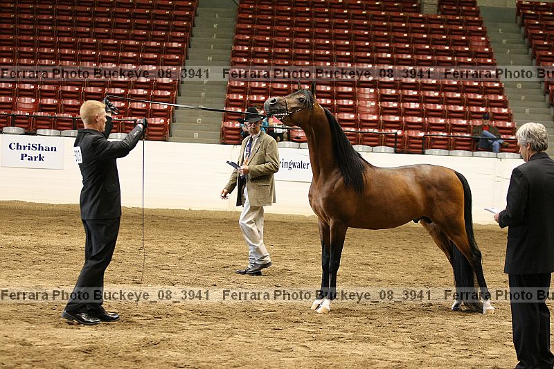 Proof Number buckeye_08_3941