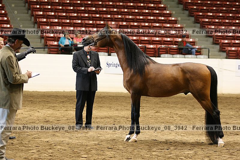 Proof Number buckeye_08_3942