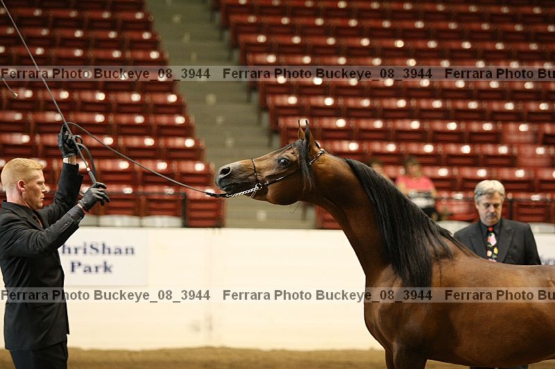 Proof Number buckeye_08_3944
