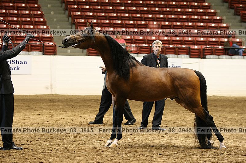 Proof Number buckeye_08_3945