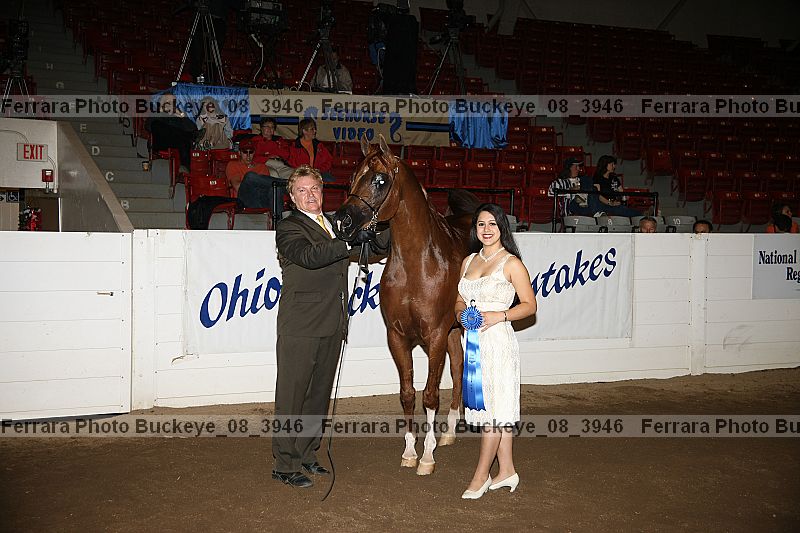 Proof Number buckeye_08_3946