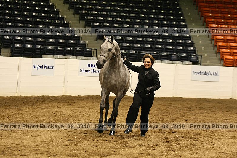 Proof Number buckeye_08_3949