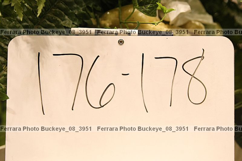 Proof Number buckeye_08_3951