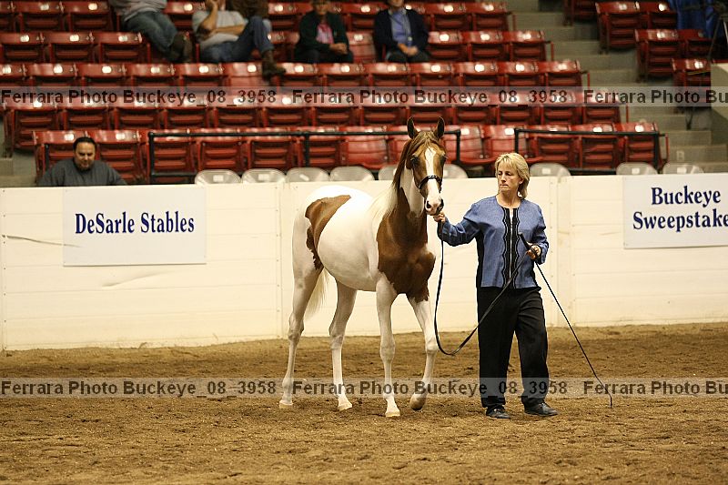 Proof Number buckeye_08_3958