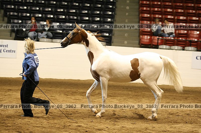 Proof Number buckeye_08_3962