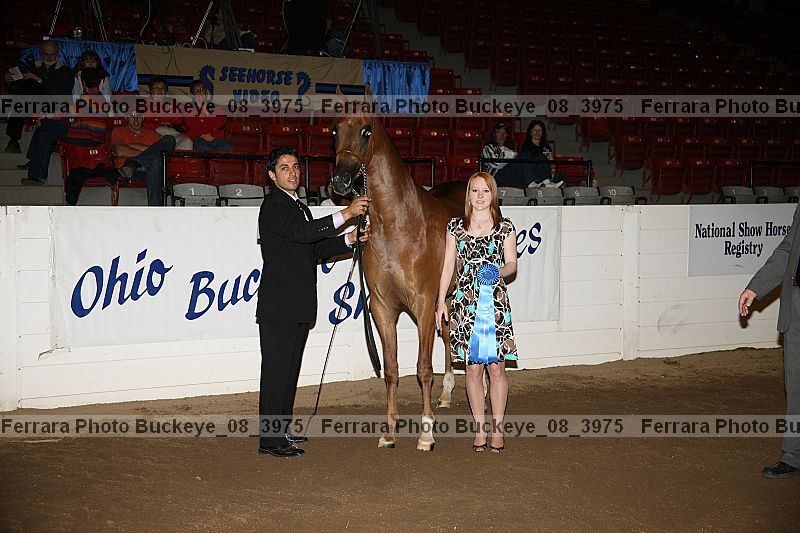Proof Number buckeye_08_3975