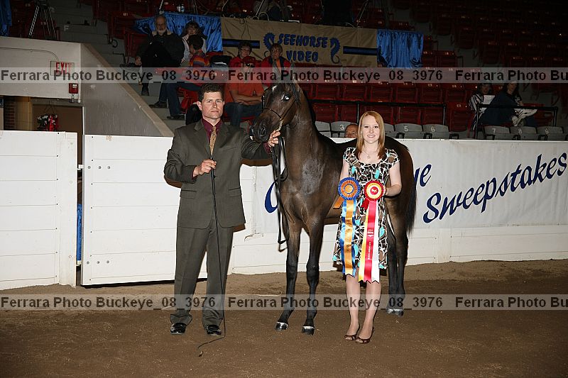 Proof Number buckeye_08_3976