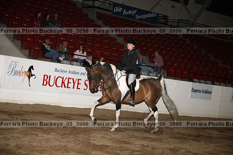 Proof Number buckeye_08_3990