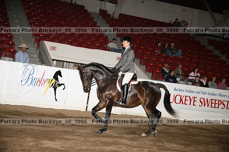 Proof Number buckeye_08_3996