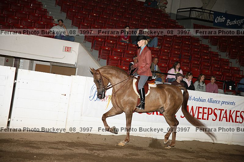 Proof Number buckeye_08_3997