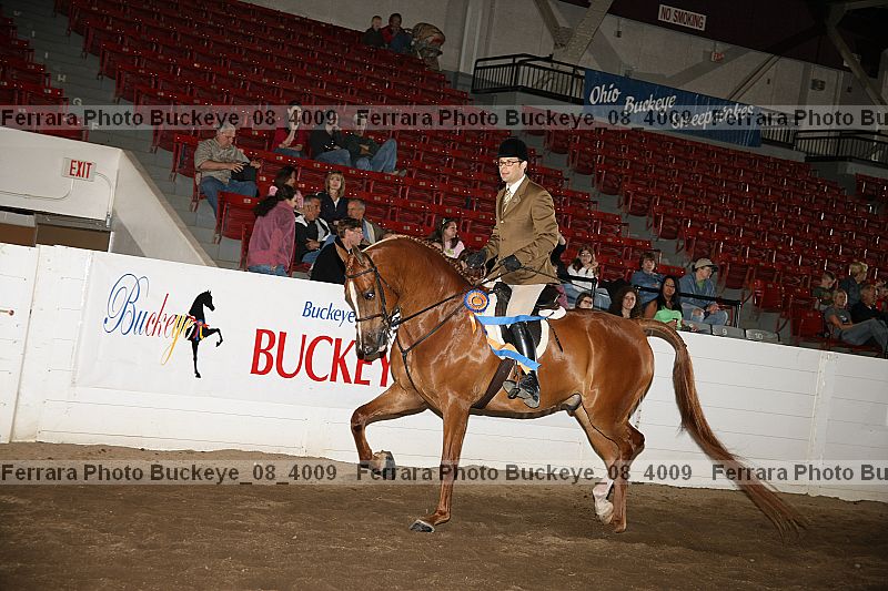 Proof Number buckeye_08_4009