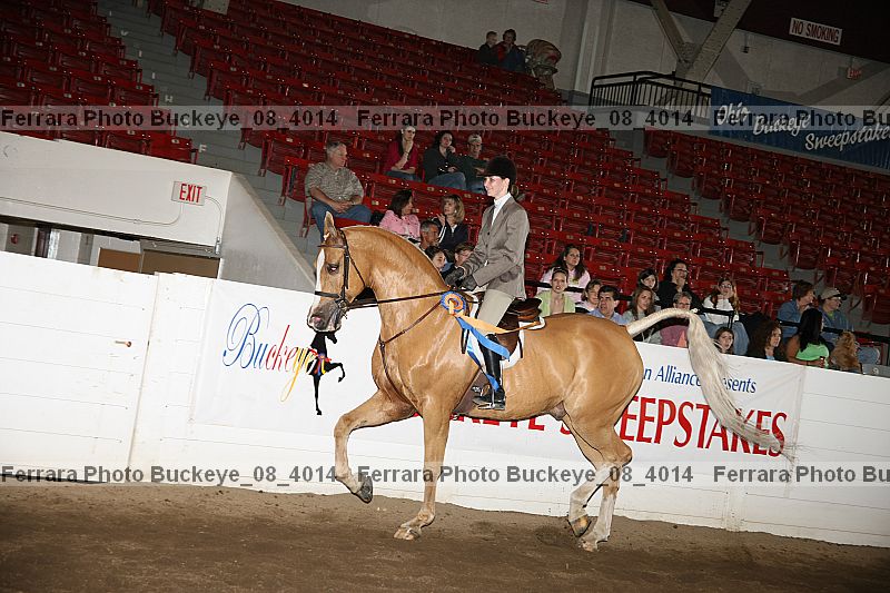 Proof Number buckeye_08_4014