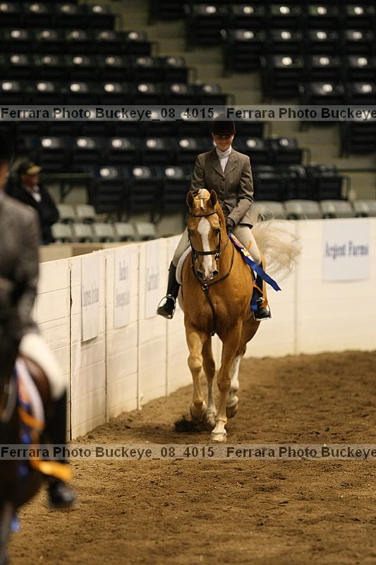Proof Number buckeye_08_4015