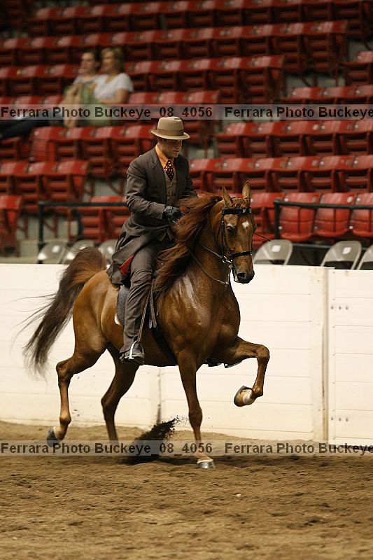 Proof Number buckeye_08_4056