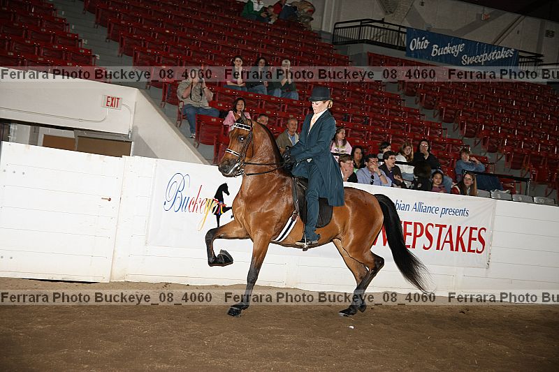 Proof Number buckeye_08_4060