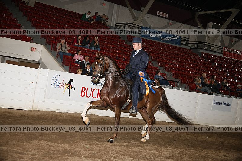 Proof Number buckeye_08_4061