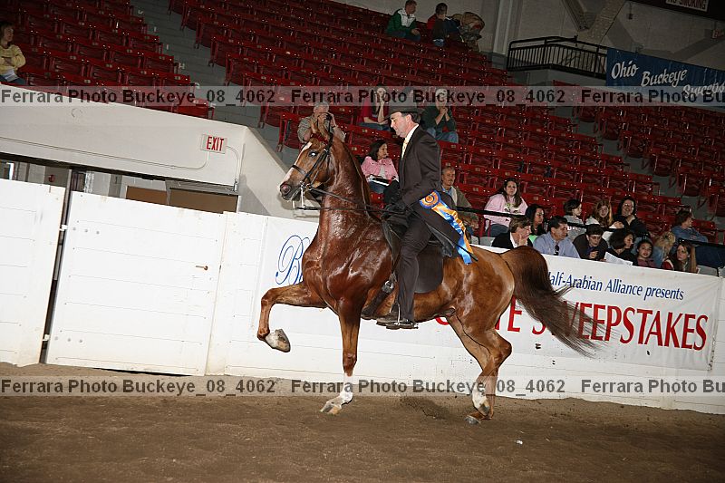 Proof Number buckeye_08_4062