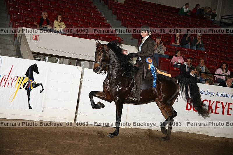 Proof Number buckeye_08_4063