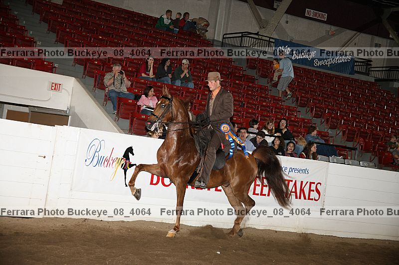 Proof Number buckeye_08_4064