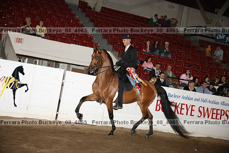 Proof Number buckeye_08_4065