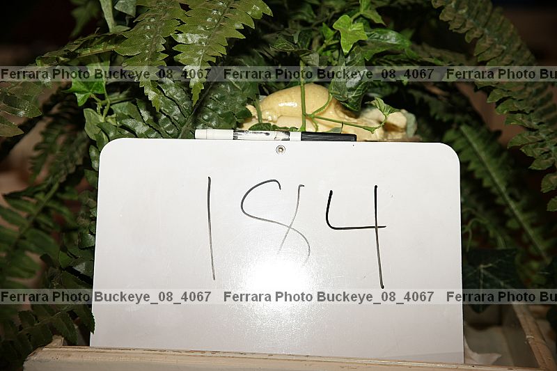 Proof Number buckeye_08_4067