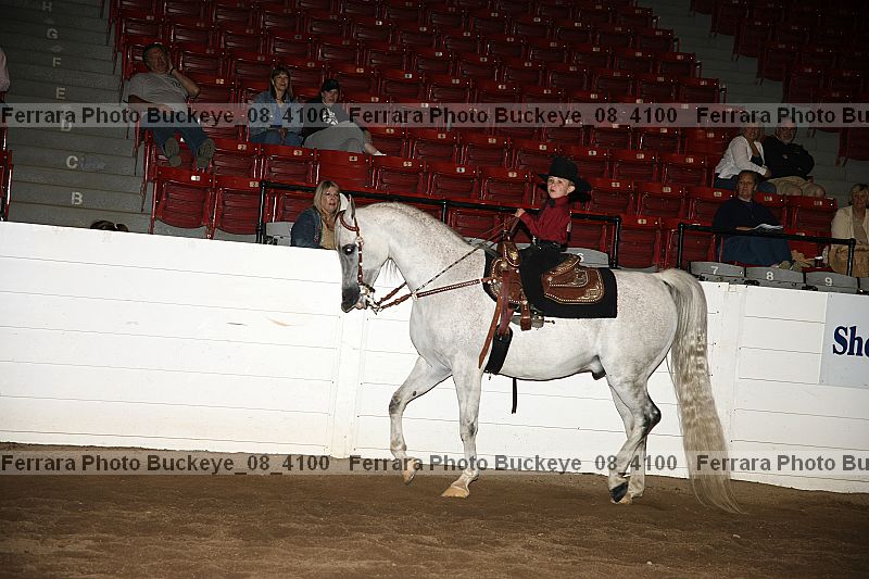 Proof Number buckeye_08_4100