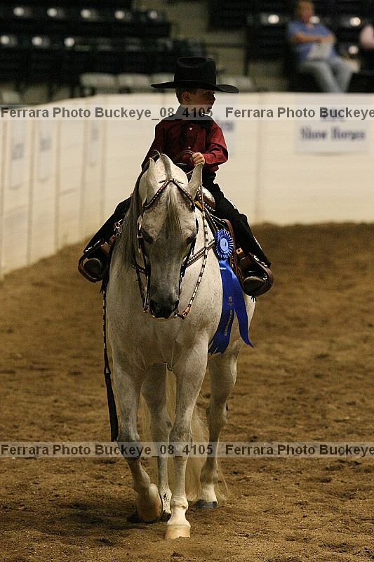Proof Number buckeye_08_4105