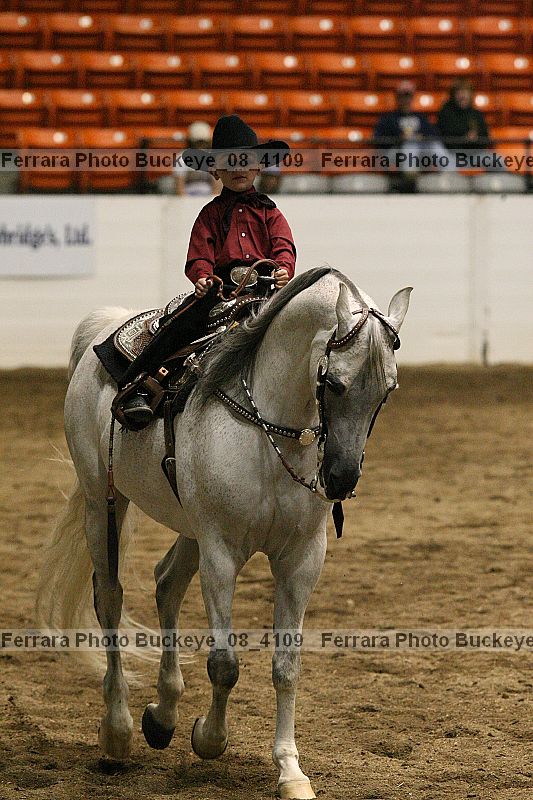 Proof Number buckeye_08_4109