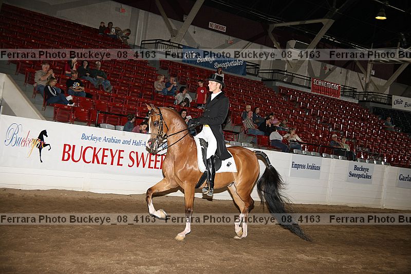 Proof Number buckeye_08_4163