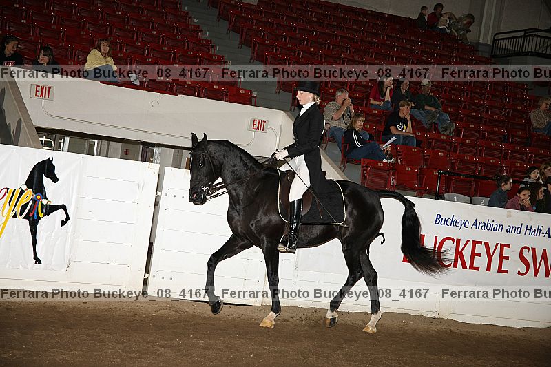 Proof Number buckeye_08_4167