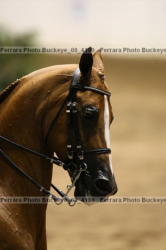 Proof Number buckeye_08_4180