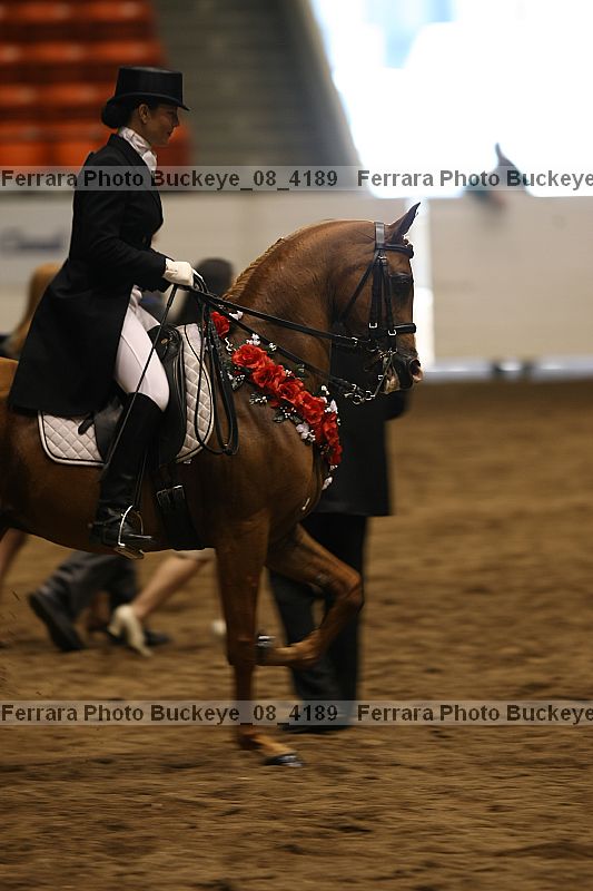 Proof Number buckeye_08_4189