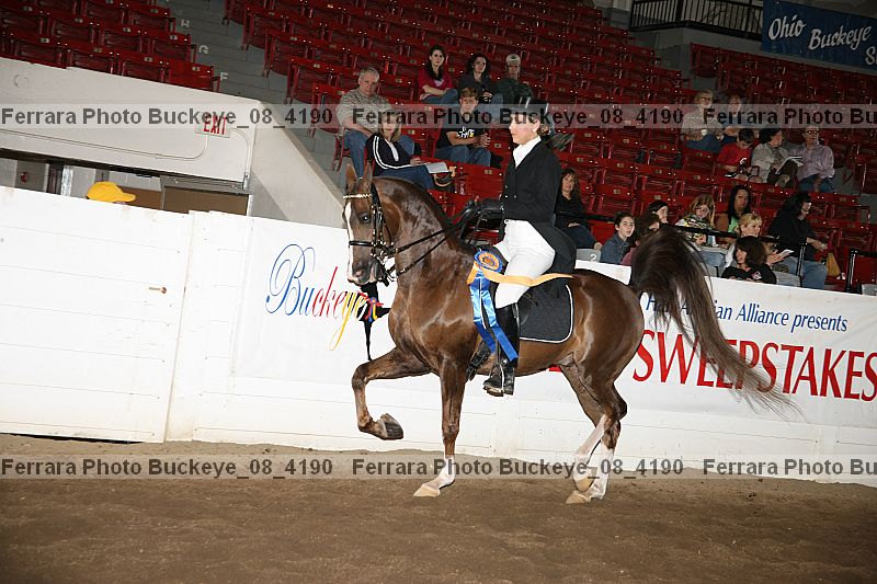 Proof Number buckeye_08_4190