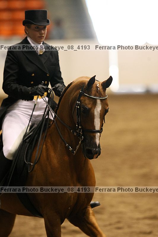 Proof Number buckeye_08_4193