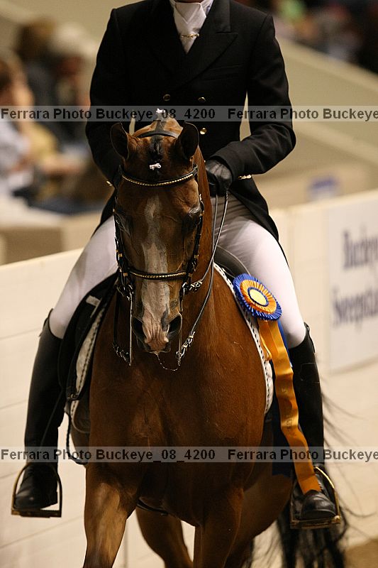 Proof Number buckeye_08_4200
