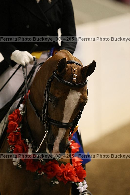 Proof Number buckeye_08_4205