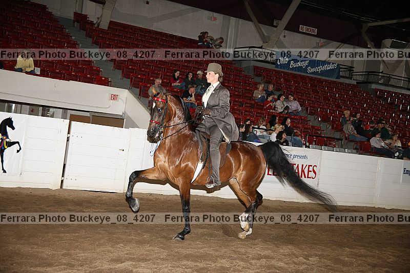 Proof Number buckeye_08_4207